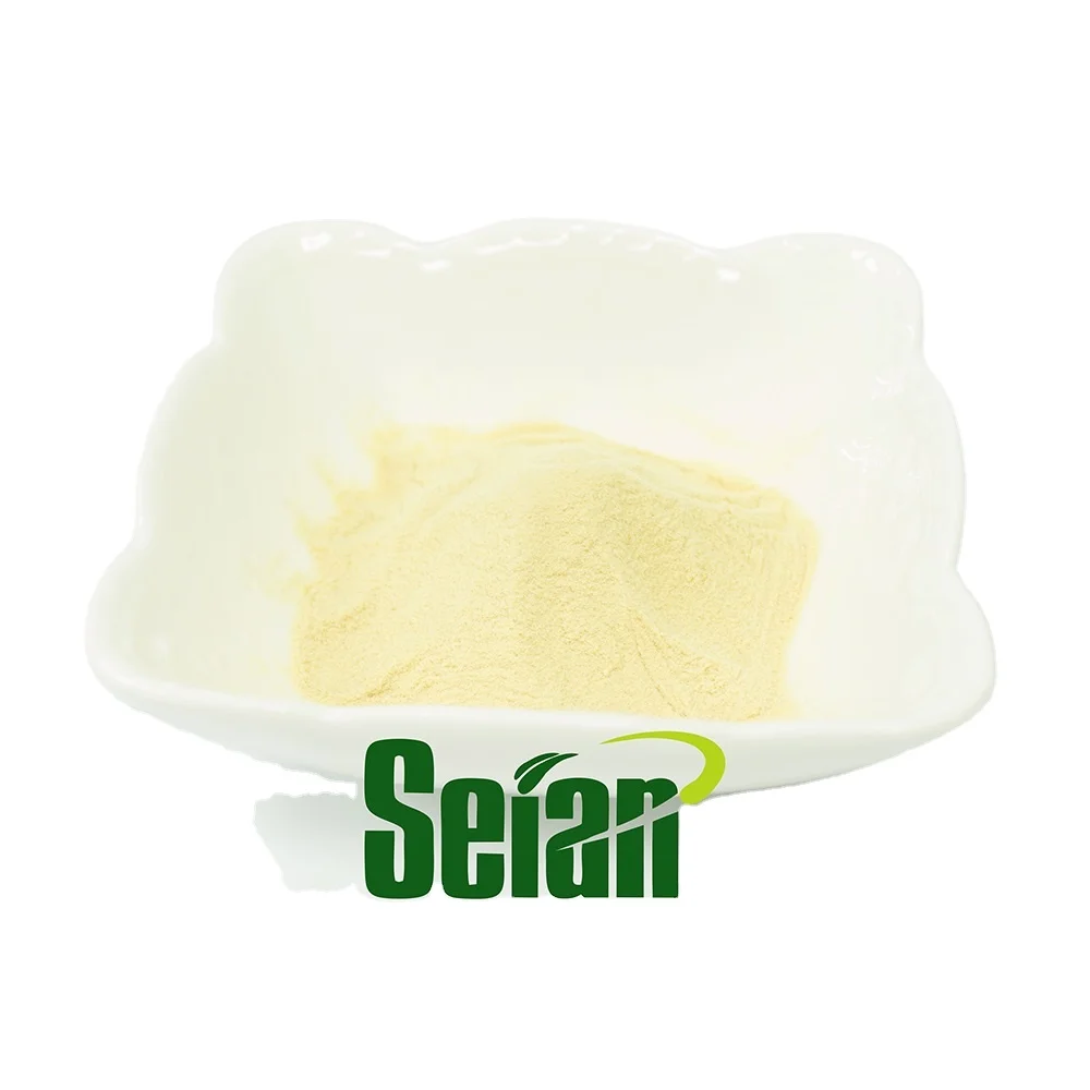 High Quality Popular Water Soluble pure Herbal Tea Chrysanthemum Flower Extract