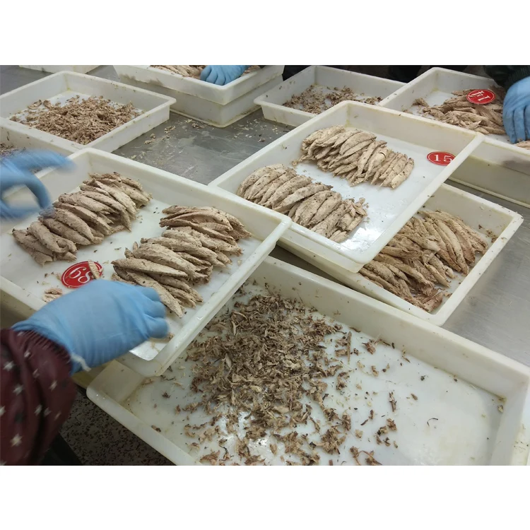 Frozen  Precooked  Skipjack  Bonito Tuna 90% Loin + 10% Flakes for Canned Tuna Seafood hot sale factory delivery