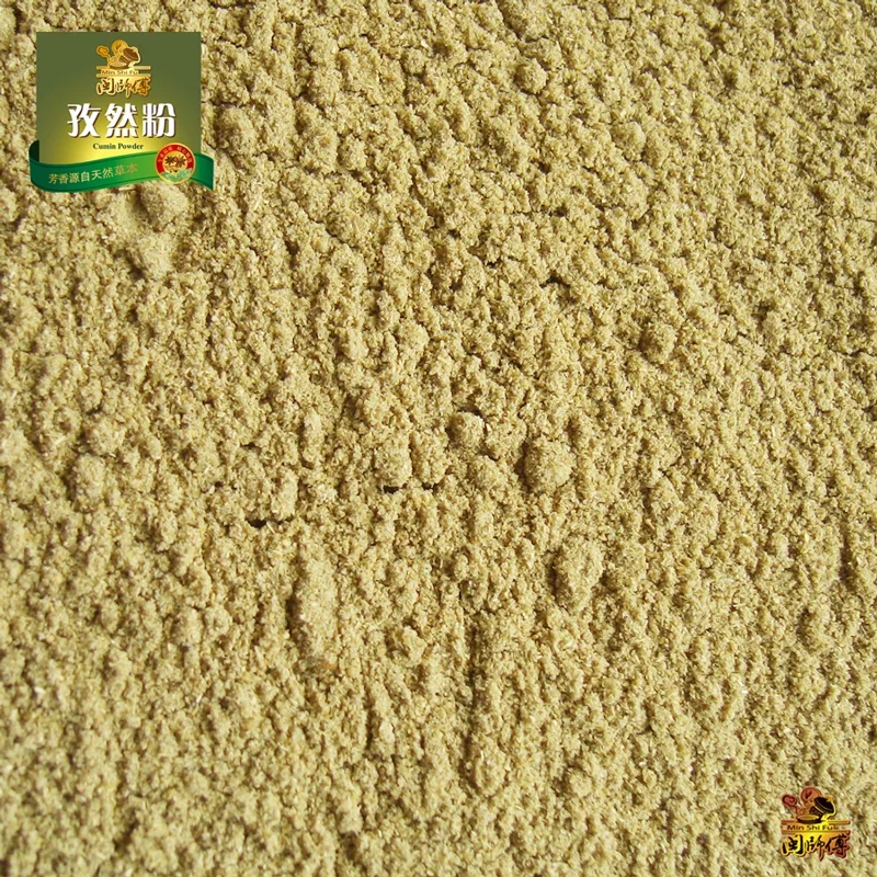 
High quality Ground Cumin powder as spice rub for barbecued mutton shish kebab or shashlik or lamb skewers 