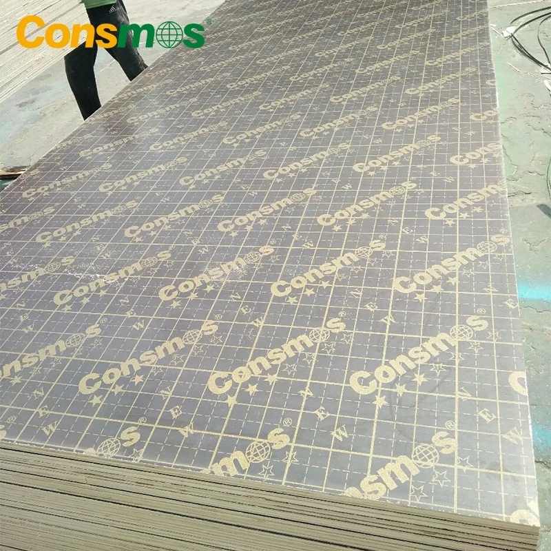 Building Material 18mm 1220x2440mm WBP Glue Waterproof Plywood Biz Standard Film Faced Plywood Board for Construction