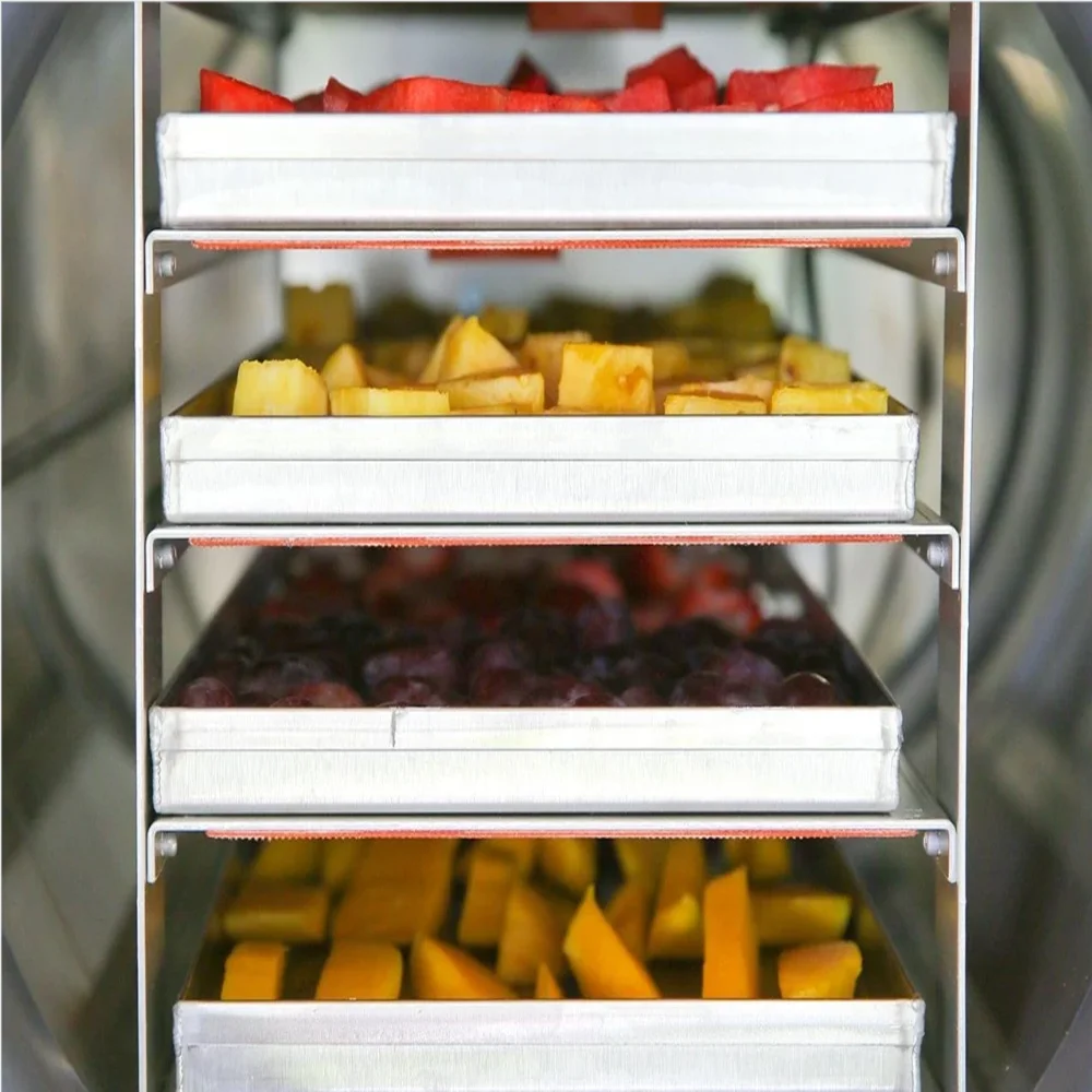 2019 популярная Вакуумная сушилка для фруктов, овощей, насекомых, цветов, чая, лиофилизатор, Дегидратор