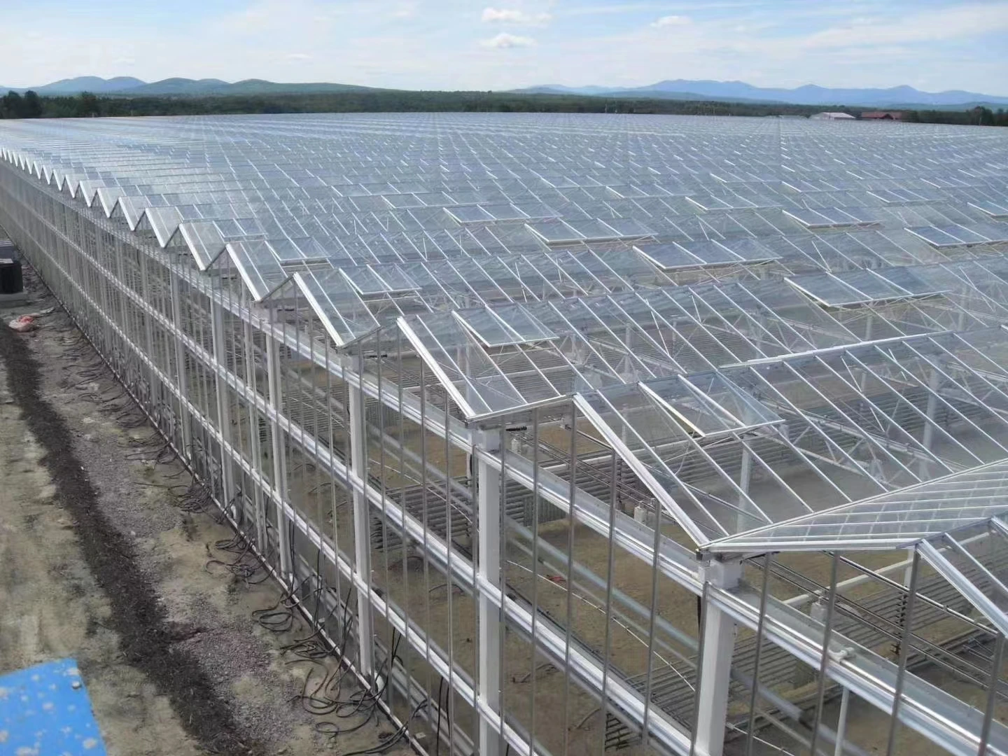 Agricultural Single-Span Poly Tunnel Film Greenhouse with Hydroponics System