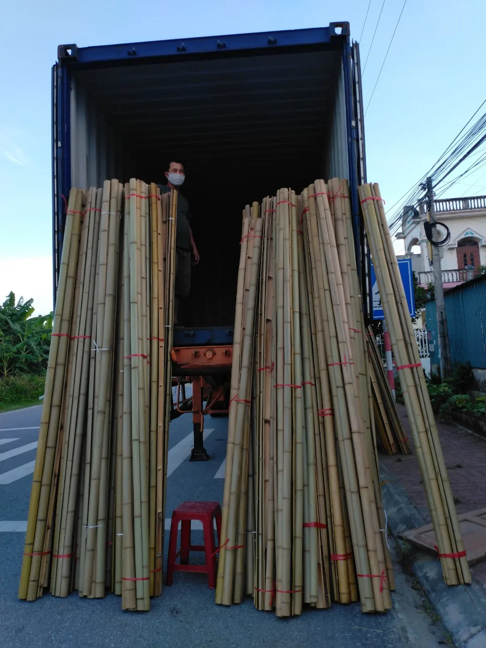 Натуральные Бамбуковые столбы прямые бамбук из посаженного леса большие бамбуковые трости