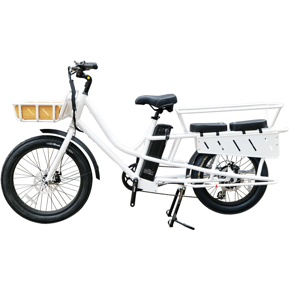 24 inch 500W dual lithium batteries food ebike 250w ebike cargo delivery family electric bike long range
