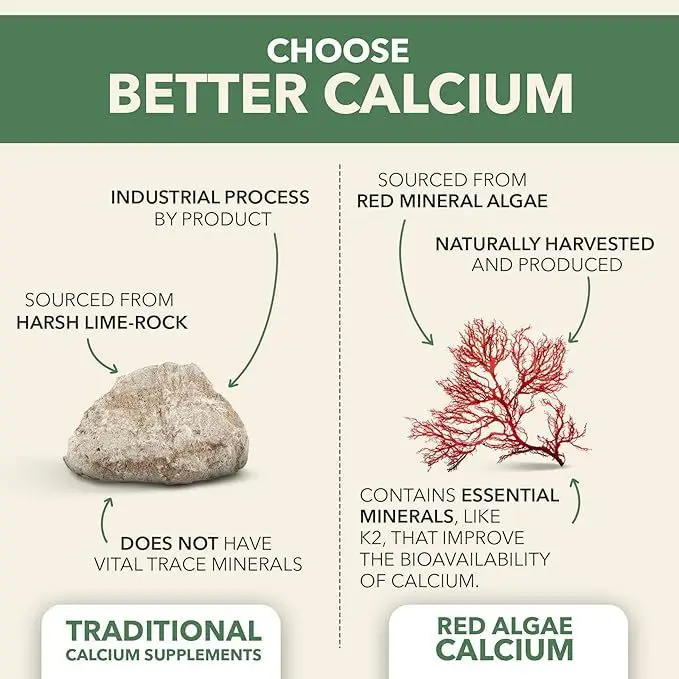 Plant fusion Vegan Calcuim Capsules Support Bones Density Strength 1000mg Supplement