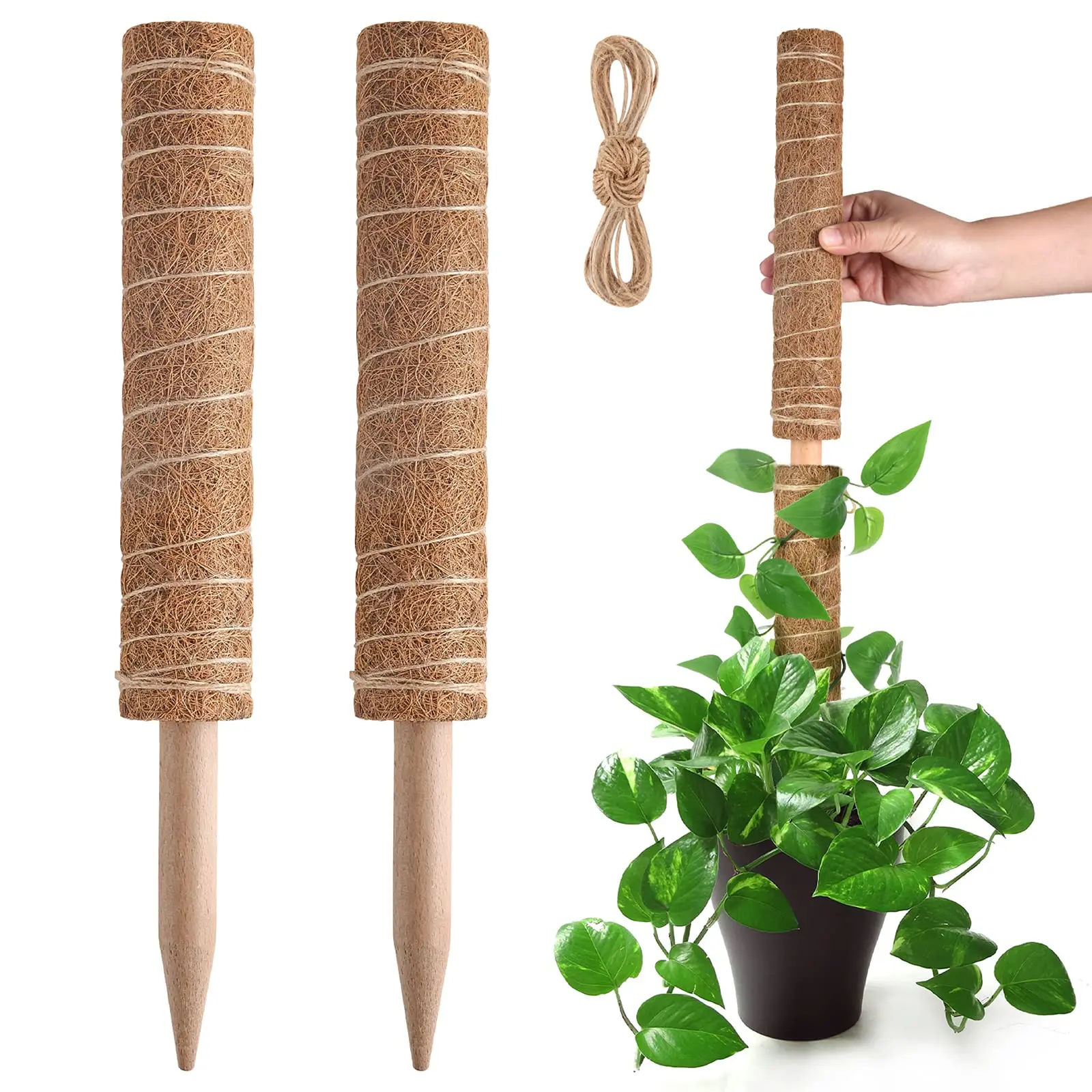 Moss Pole for Plants Monstera Extendable Plant Sticks Support Plant Stakes for Indoor Potted Moss Pole