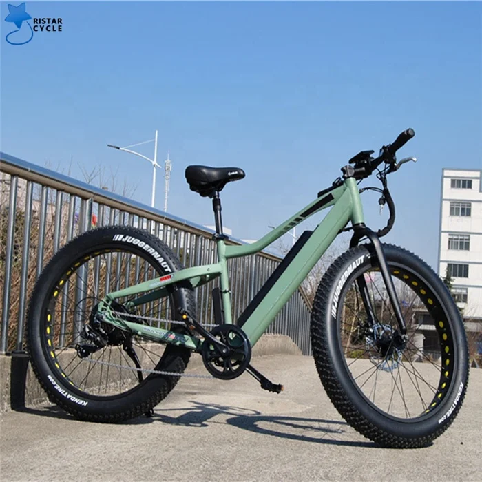 Ristar hot sale suspension fork Electric Bicycle Mountain Snowmobile with 7 Speeds 13AH Lithium Battery and Tektro Disc Brake