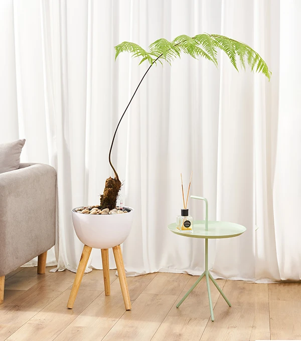 Unique Decorative Plastic Gardening Round Shaped Living Room Home Indoor Balcony Decoration Brushed Flower Pots Planter Stand