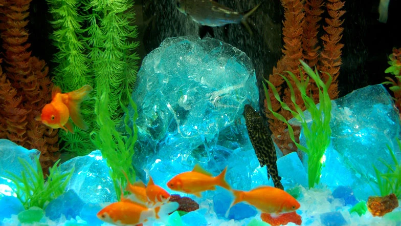 The Aquarium With Customizable Colors Is Decorated With Reflective Glass Pebbles With Different Shapes