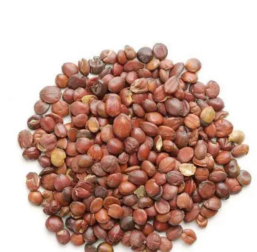 Suan Zao Ren Natural Ziziphus Jujuba Mill. Var. Spinosa Seeds Kernel Raw Semen Ziziphi Spinosae for Herb