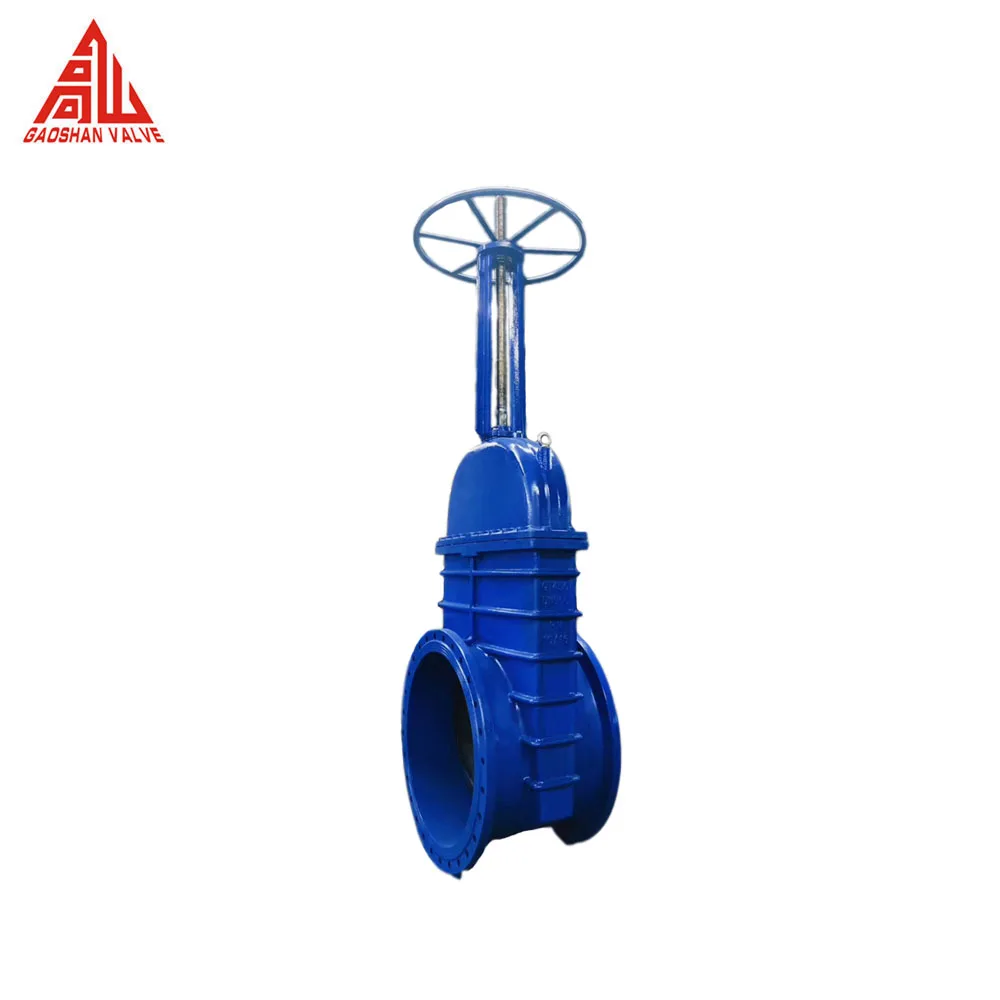 Rising Non Rising Wedge Type GGG40 GGG50 API DIN BS Standard Ductile Iron Flang Flexible Gear Direct Buried Resilient Gate Valve