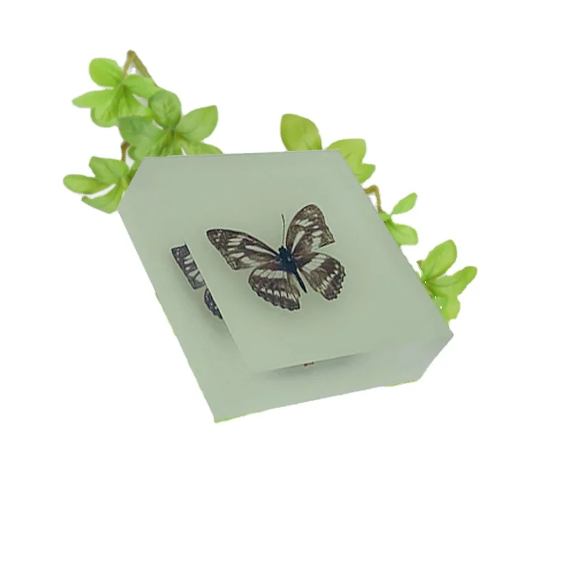 Transparent Acrylic cube block resin display with real insect paperweight animal specimen
