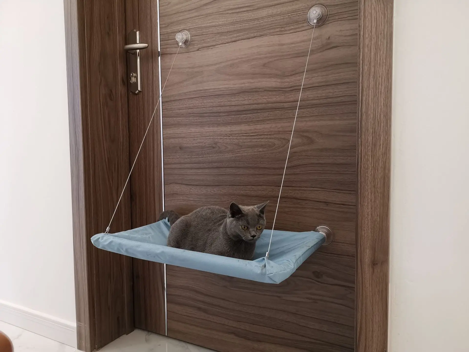 Cat Window Bed Nylon Fabric Window Mounted Cat Hammock Cat Window Hammock