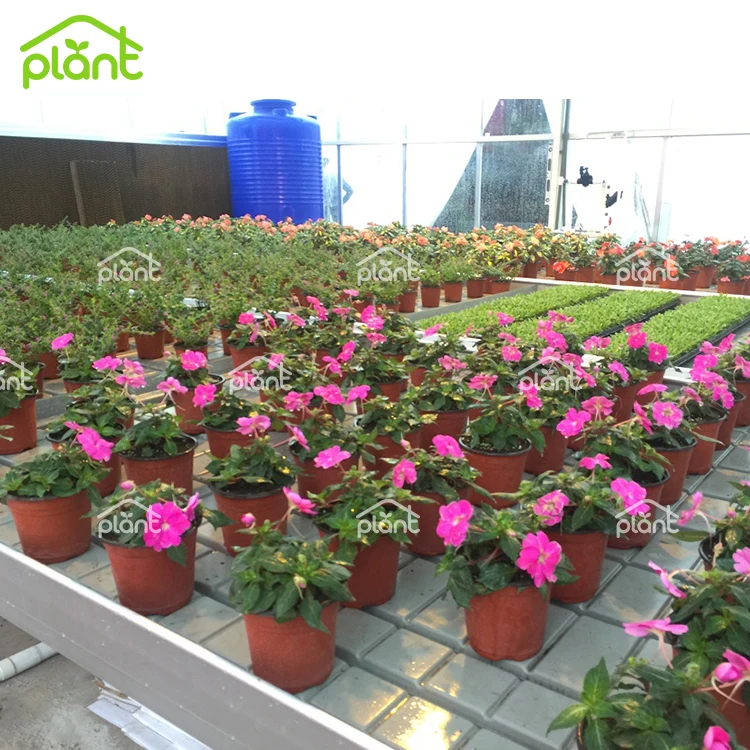 USA Canada Medical Herb Seedbed Hydroponic Rolling Benches Flood Table Grow Trays Rolling Bench