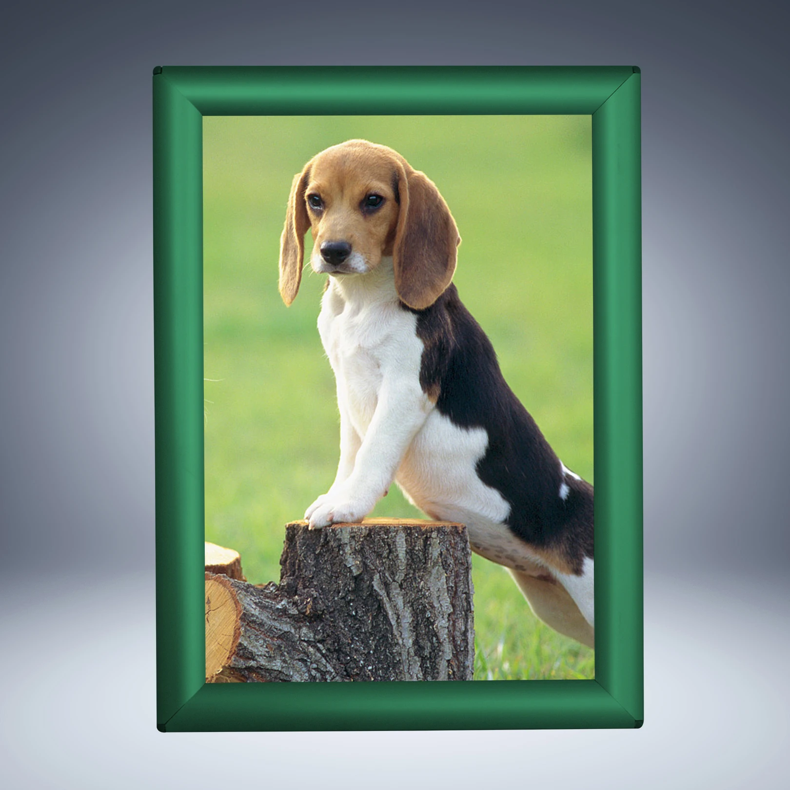 Poster Clip Snap Frame Board Aluminium Advertising Silver A1 A2 A3 A4 Indoor Poster Display Quick Change Picture Frame Price