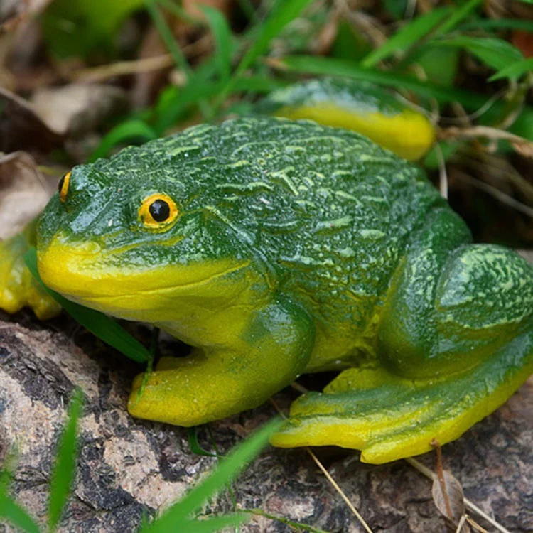 Miniature Frog Garden Statue Resin Handicraft Horticulture Potted Adornment Bonsai Mini Outdoor Accessory Figurine