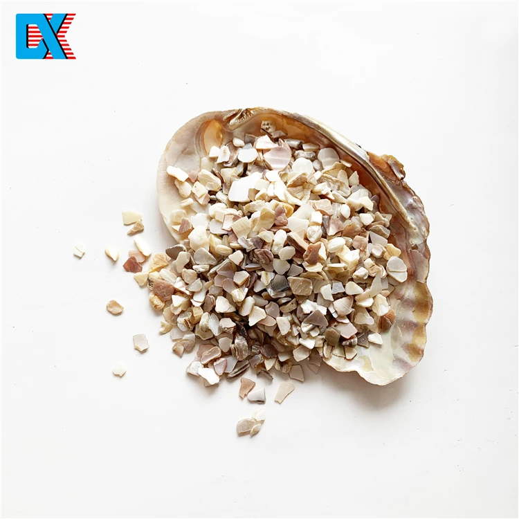 
Wholesale natural colorful crushed mother of pearl shell gravel chips for terrazzo 