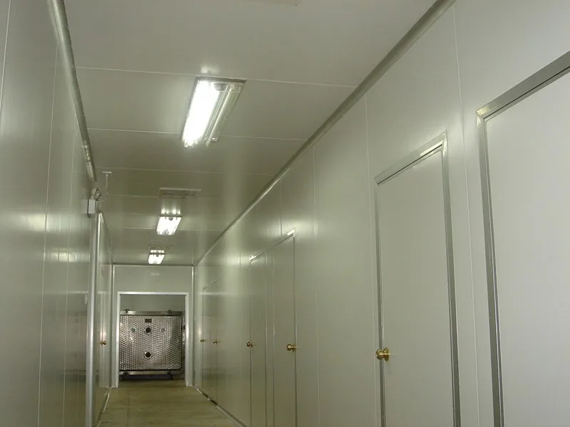 
Best quality GMP factory supply red ginseng root Panax ginseng korean extract powder <span style=