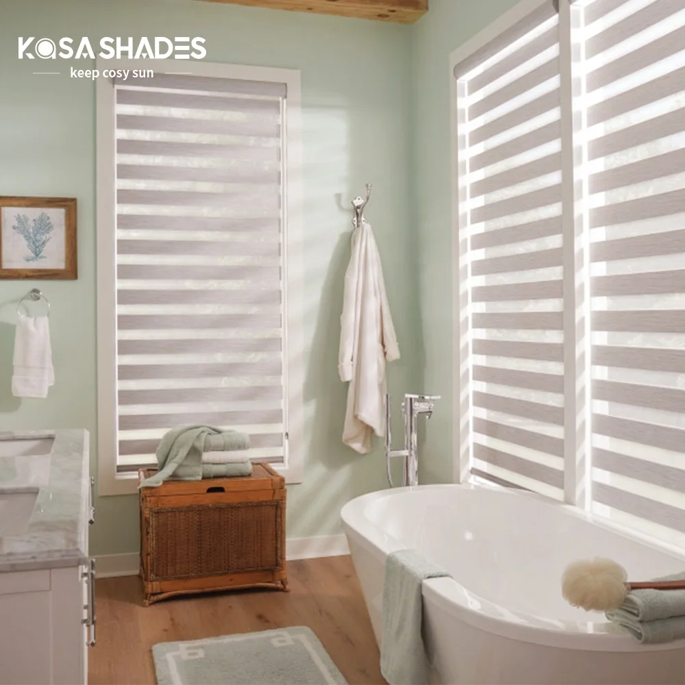 Cordless Zebra Blinds Roller Blinds Manual Dual Roller Blinds Privacy Light Control for Day and Night