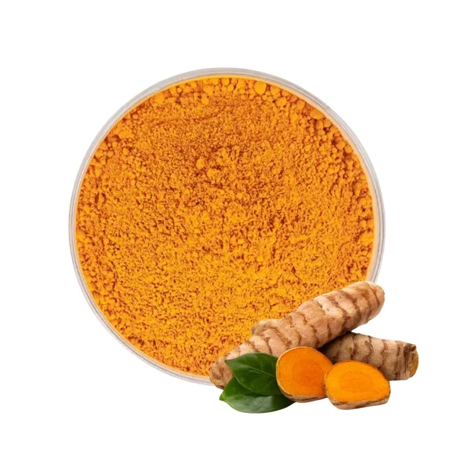 Best Price Plant Extract Powder Turmeric Root Powder Curcuma Powder