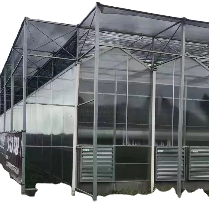 2023 years new Large agriculture polycarbonate sheet greenhouses with growing systems for tomato and herb SUNSGH brand polyhouse