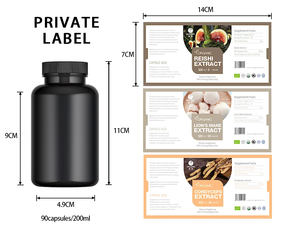 OEM Private Label Supports Energy Supplement -  Herbal Mushroom Capsules with Oyster Extract