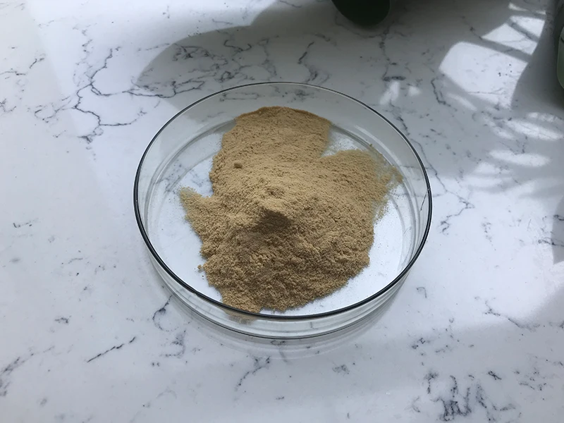 Camellia Oleifera Seeds Extract Tea Saponin Powder