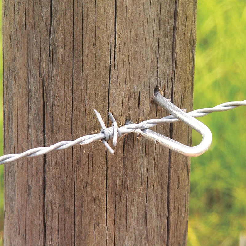 Galvanized Single Barbed Fence Staples U Nails U Shape Wire Nails