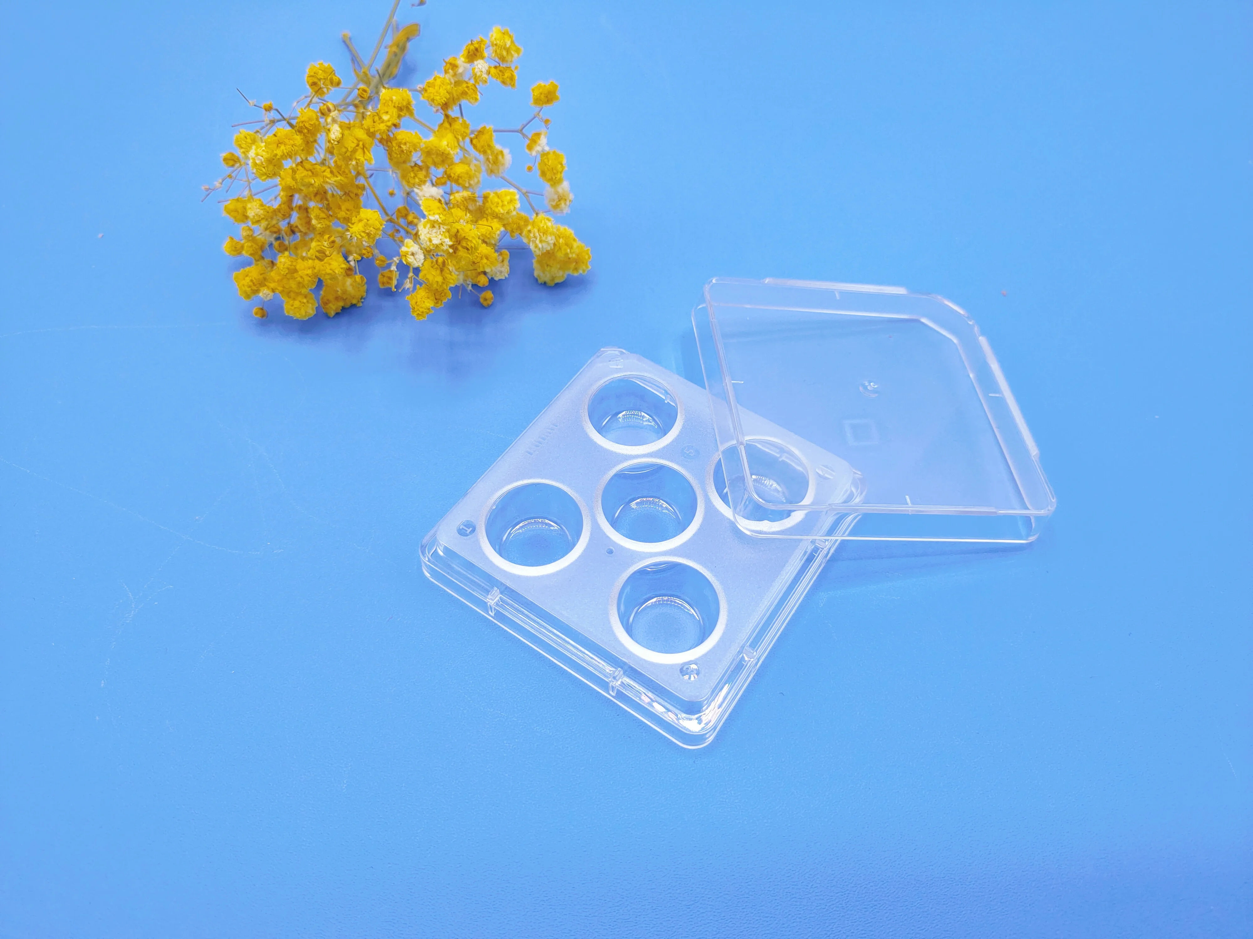 Custom wholesale fungus Petri dish plastic three-chamber petri dish