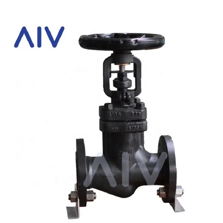  High Quality Wenzhou Manufacturer AIV Double Seal Design A105N F304 F316 Forged Steel Bellow Globe