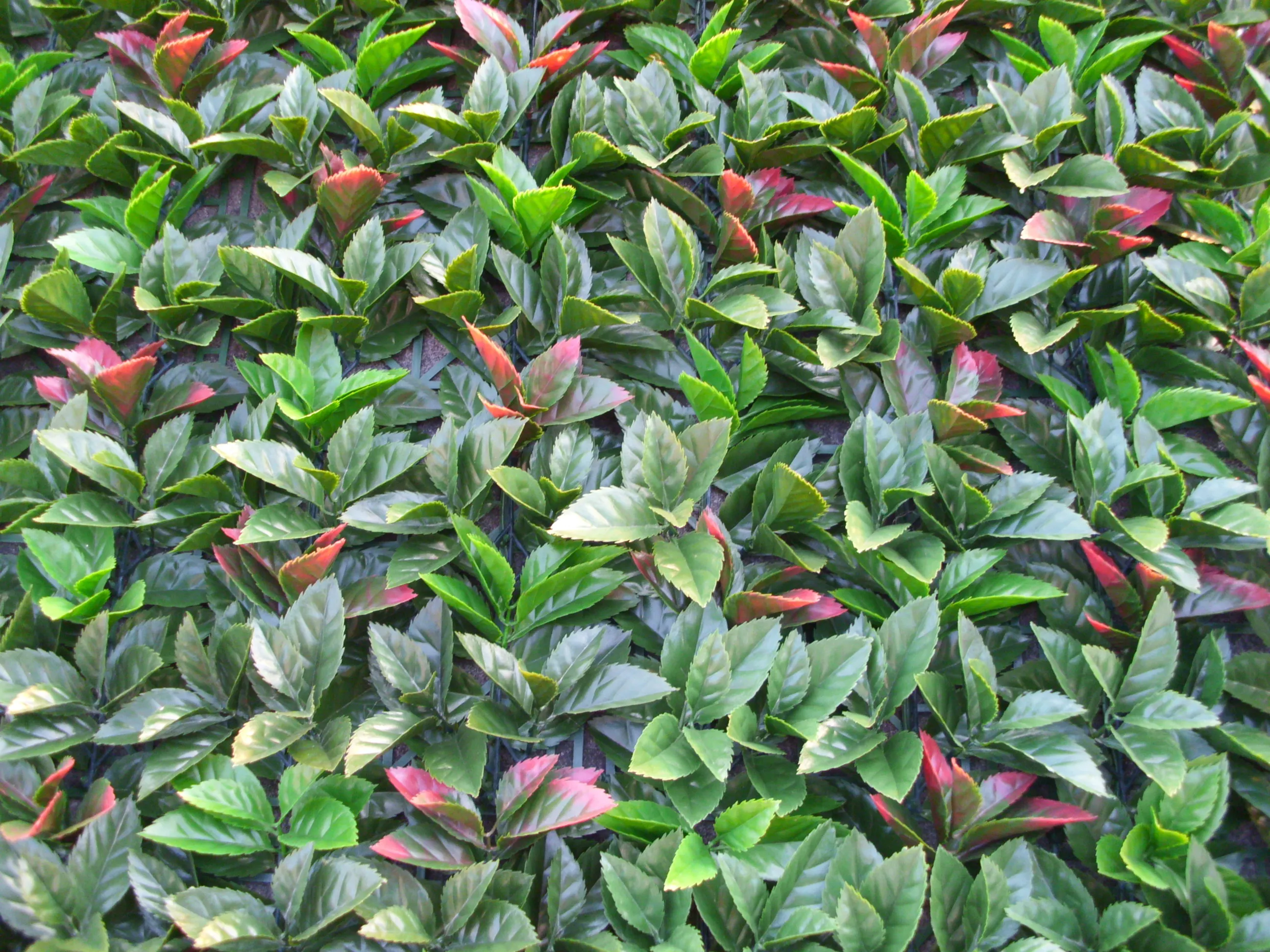 Cheap fire resistance artificial boxwood hedge fence vertical green wall