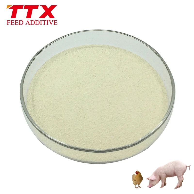 
Broiler premix phytase enzyme in poultry feed 