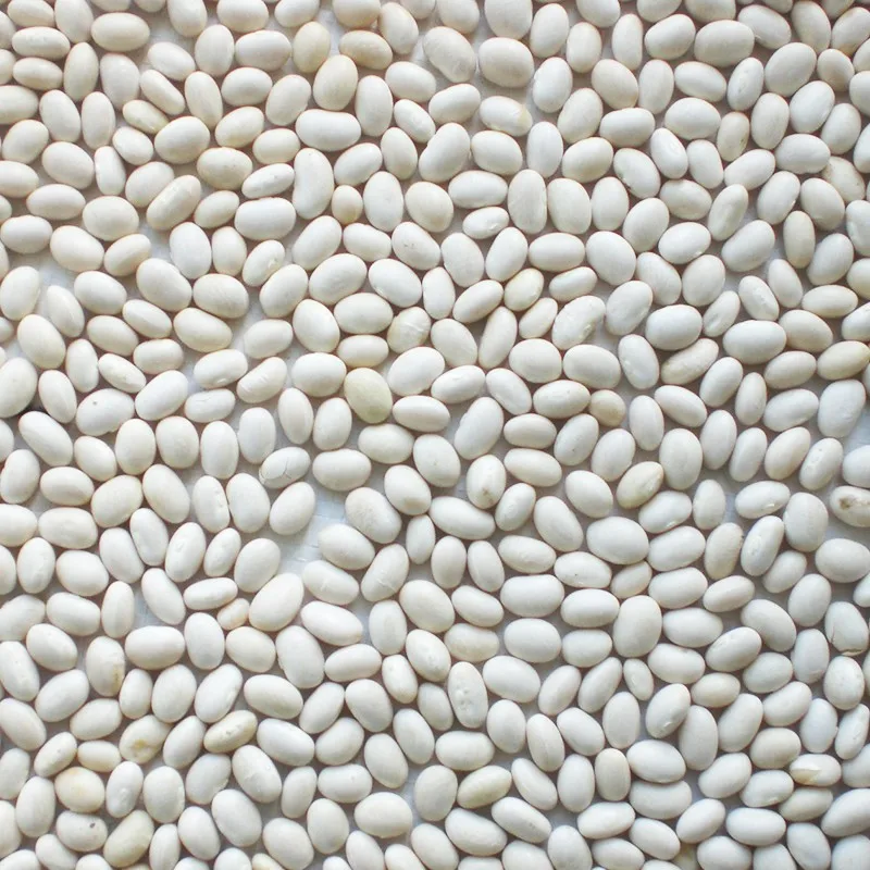 
New Crop High Quality Organic White Kidney Beans 