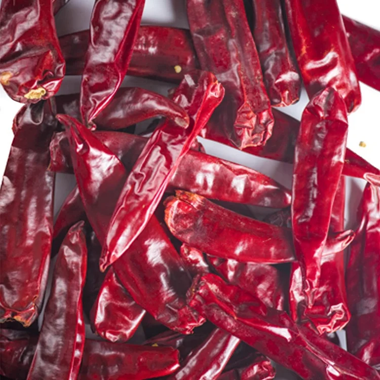 Long size wrinkled less seeds dark red color Dried Red Chilli