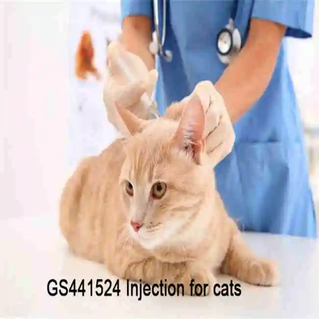 
Good quality GS-441524 5ml fip injection for cats fip gs441 