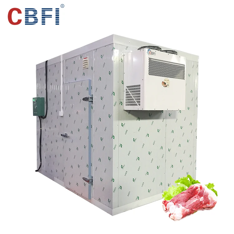 Coldroom Refrigerated Warehouse Room For Fruits And Vegetables/ New Condition Cold Room