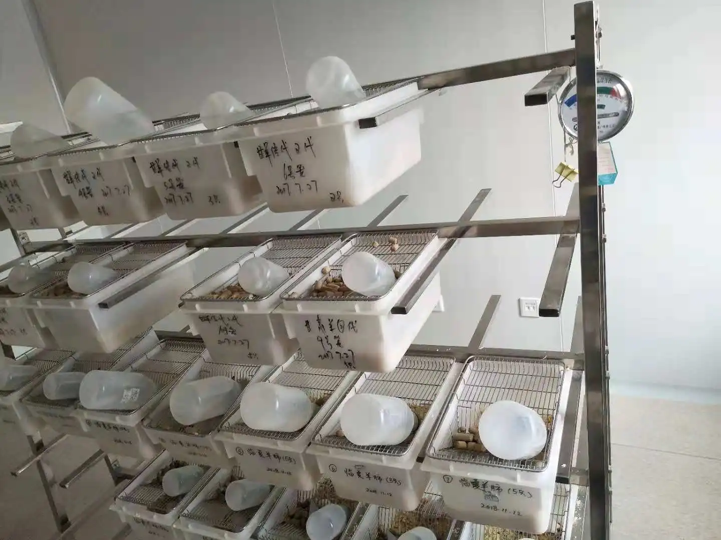 Высококачественная стойка из нержавеющей стали для крыс лабораторная бутылка воды клетка размножения грызунов мышей кормящих