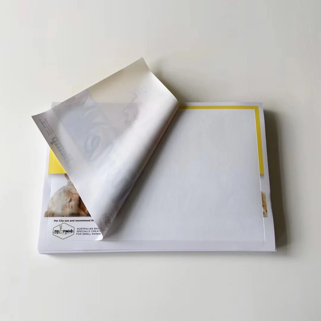 Car Bumper Vinyl Sticker Decal Decorative Sticker Funny