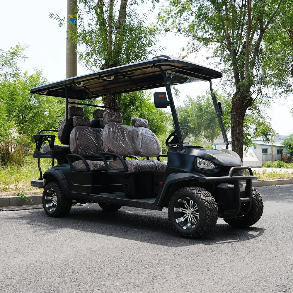Professional Brand Electric Golf Buggy Cart with Meter High Quality Golf Carts