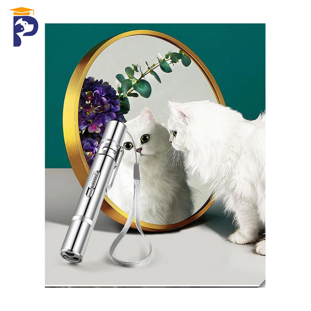 2023 Petfessor E-commercial Hot sales USB Rechargeable Laser Pointer Pen for cat