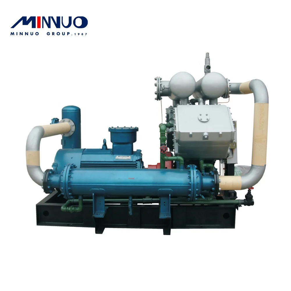 Minnuo 2022 energy saving home cng compressor 220V 50hz in China