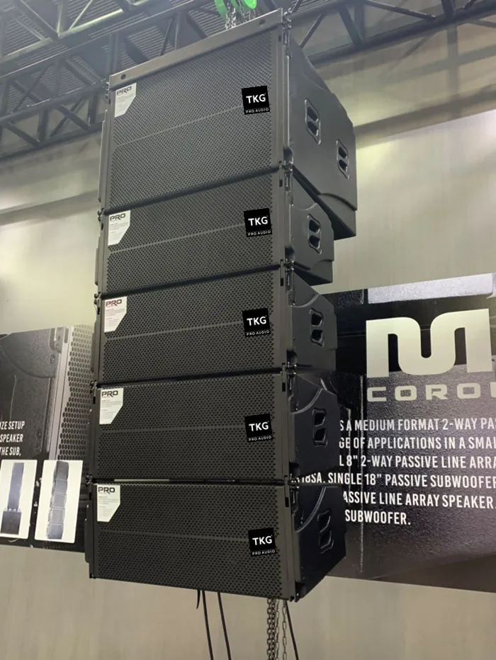 TKG FA210 900W church outdoor sound system dual 10 inch line array