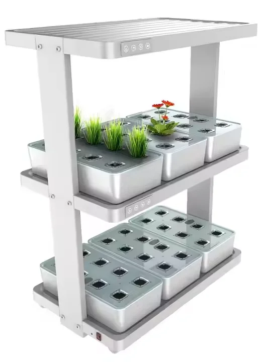 Kitchen Hydroponics Grow Kit Smart Garden Hydroponic With 2 Layers