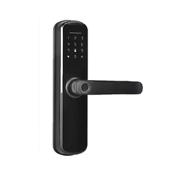Smart Home Electronic Electric TT APP Wifi Smart Lock Digital Biometric Fingerprint Door Lock