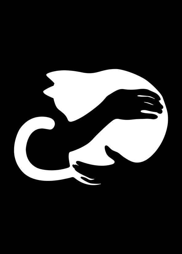 Wholesale Wall Art Canvas Painting Black and White Cat Poster Luxury Simple Wall Painting Living Room Home Decorative Painting