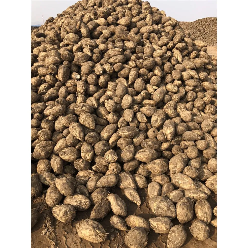 
Cattle Plant Pellet Feed Animal Feed Chicken Pellet Feed 