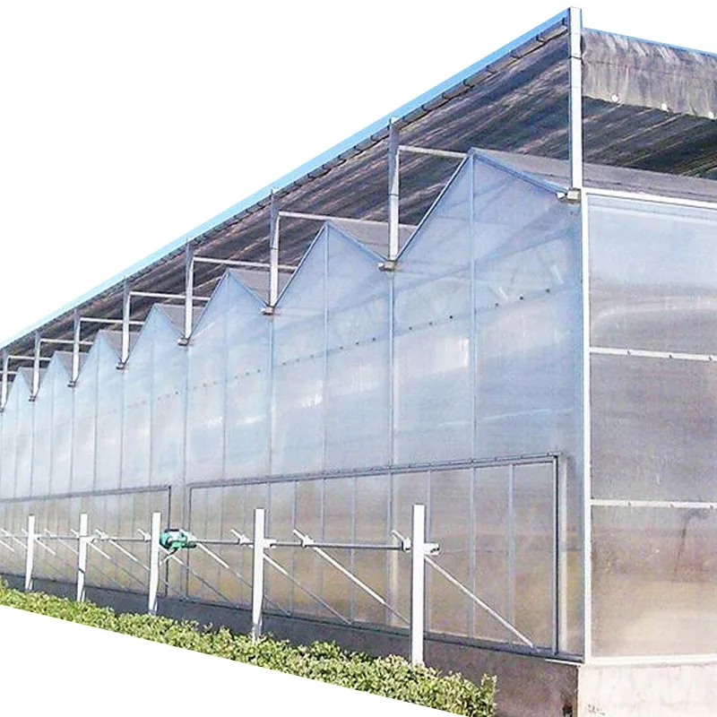 Large Agricultural Polycarbonate Greenhouse Frame Steel Galvanized Steel Stable Stable Greenhouse