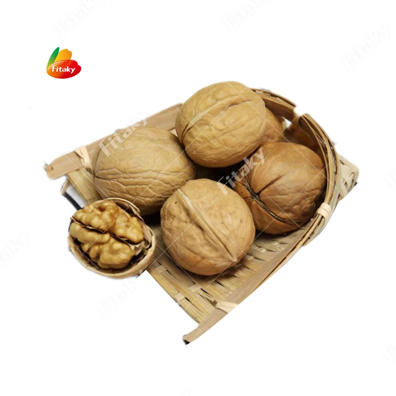 Walnut Price China Walnuts For Sale Walnut Kernel In Bulk (1600622000636)