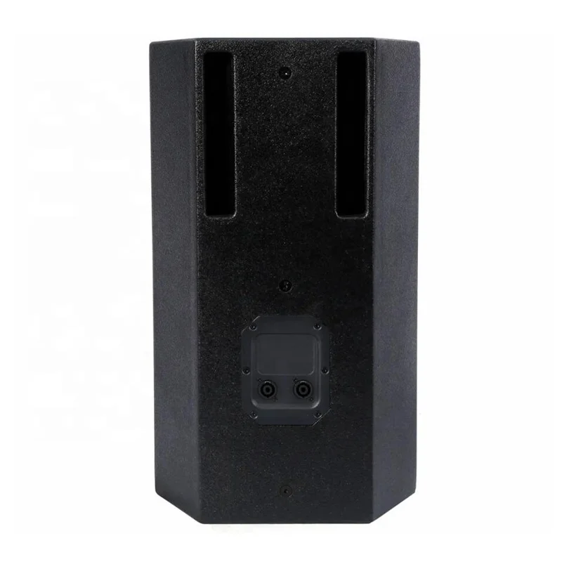 10-Inch PA Speaker MORIN CQ-10 - Affordable and High-Quality Professional Audio
