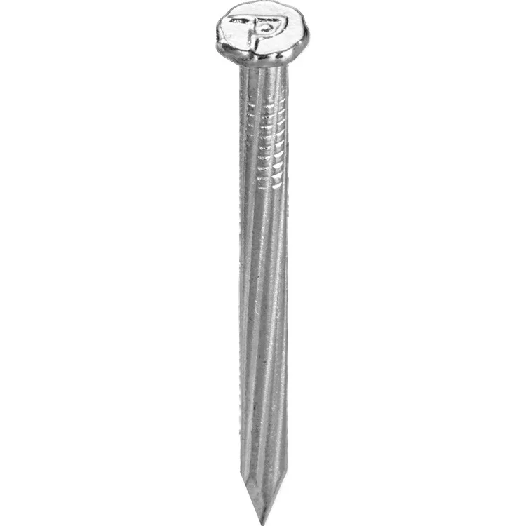 45#/55# Galvanized Nails, Steel Nails Masonry insulation concrete nails from China to India